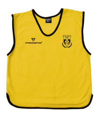 DTR Football Training Bibs